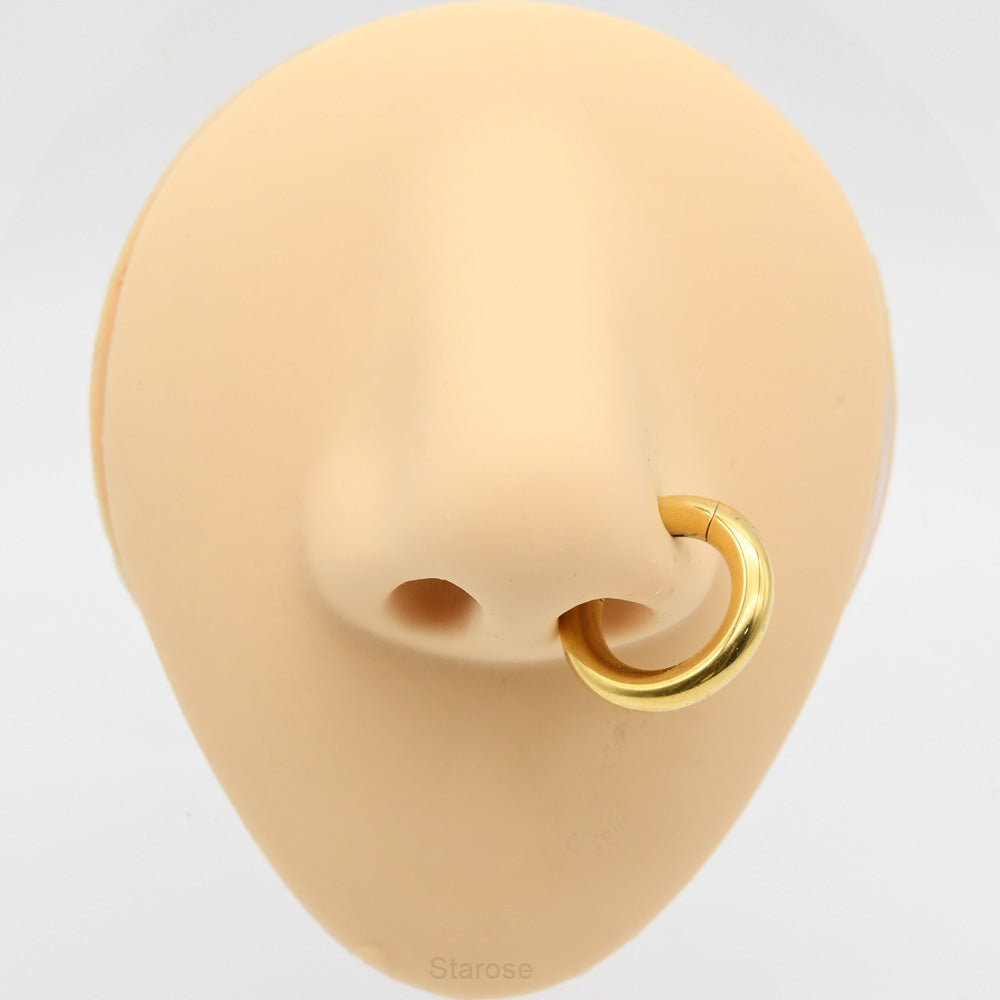 1 Piece Large Guage 12G/2mm to 00G/10mm 316L Stainless Steel Hinged Clicker Septum Rings Seamless Nose Ring Hoop Ear Piercing Earweight