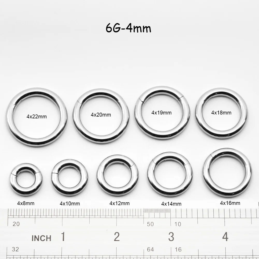 1 PAIR High Polished 316L Surgical Steel Nose Ring Hoop Ear Piercing Jewelry Hinged Clicker Piercing for Septum Labret BCR 18G-00G