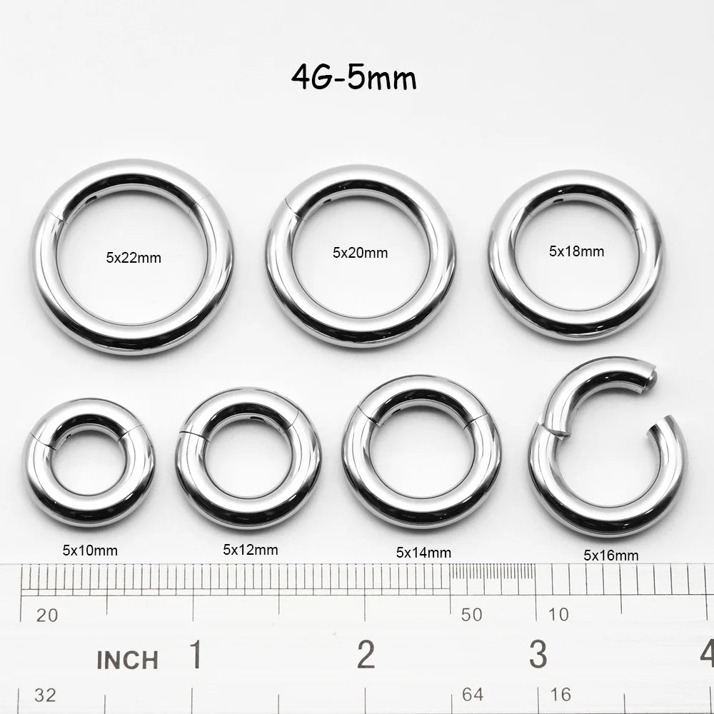 1 PAIR High Polished 316L Surgical Steel Nose Ring Hoop Ear Piercing Jewelry Hinged Clicker Piercing for Septum Labret BCR 18G-00G