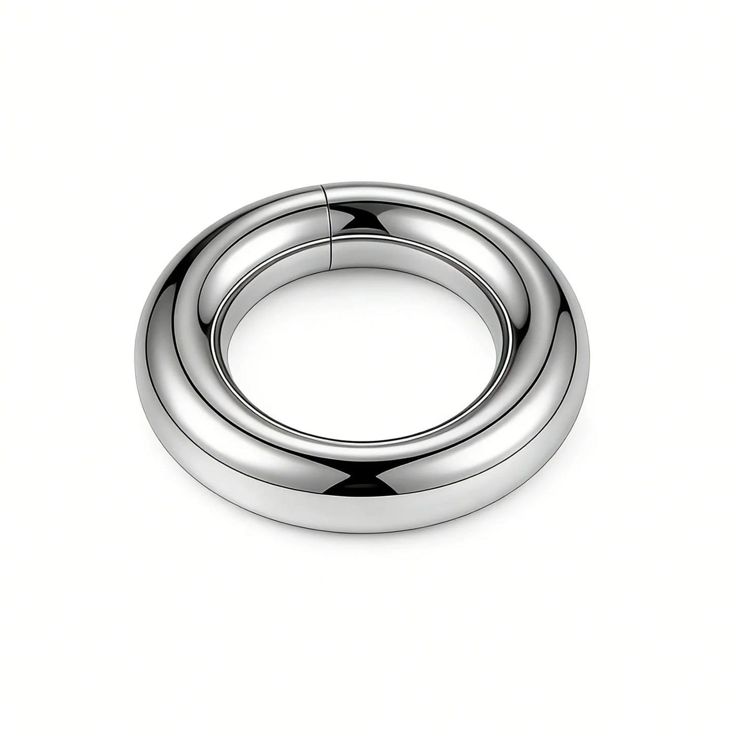 1 PAIR High Polished 316L Surgical Steel Nose Ring Hoop Ear Piercing Jewelry Hinged Clicker Piercing for Septum Labret BCR 18G-00G