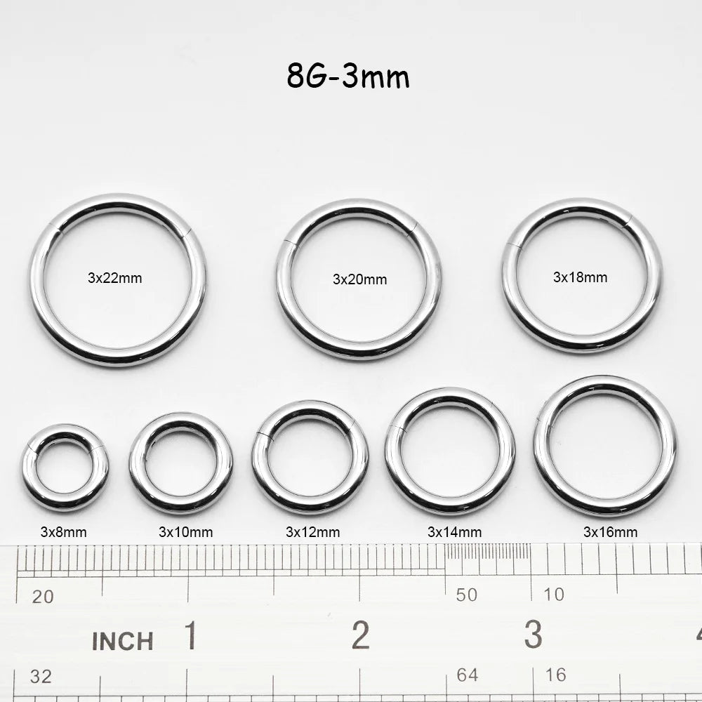 1 PAIR High Polished 316L Surgical Steel Nose Ring Hoop Ear Piercing Jewelry Hinged Clicker Piercing for Septum Labret BCR 18G-00G