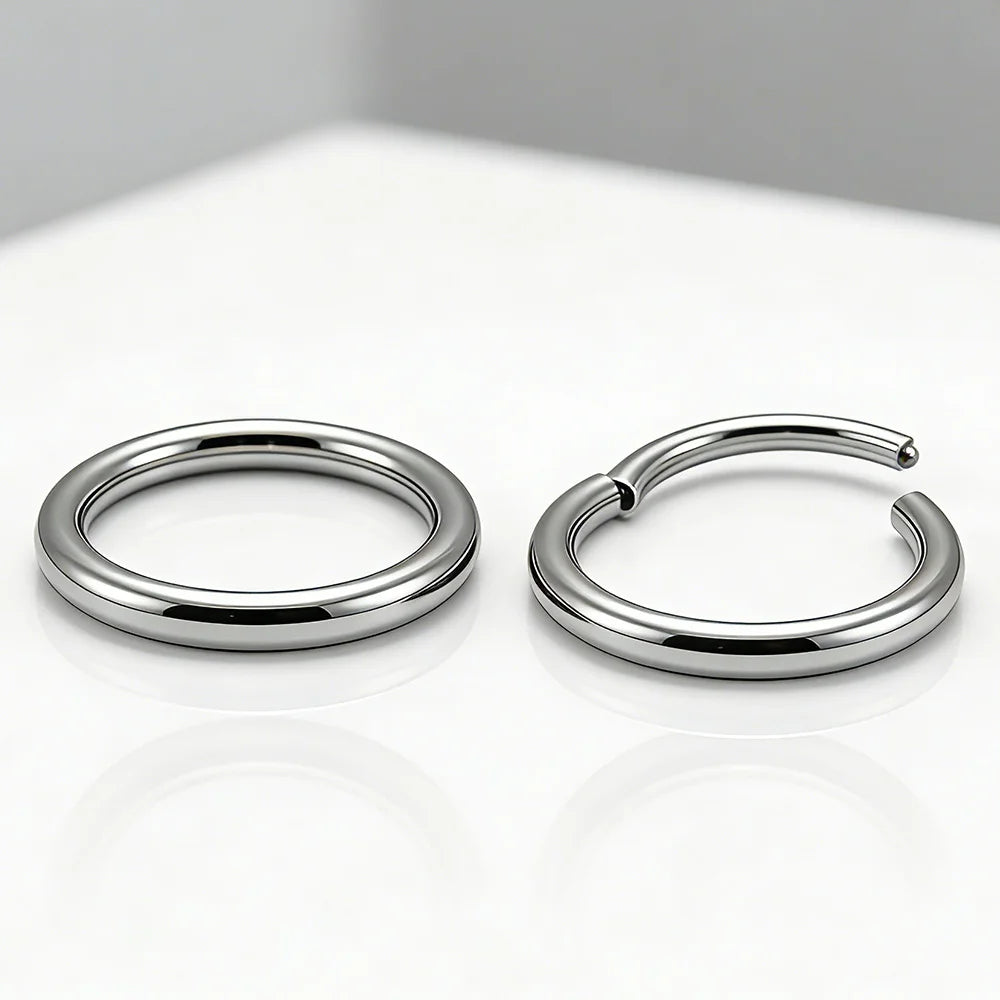 1 PAIR High Polished 316L Surgical Steel Nose Ring Hoop Ear Piercing Jewelry Hinged Clicker Piercing for Septum Labret BCR 18G-00G