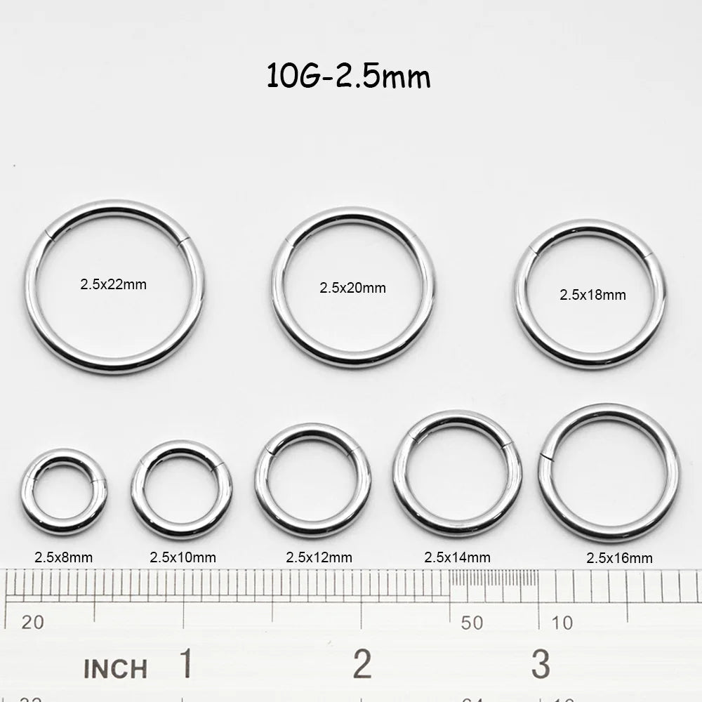 1 PAIR High Polished 316L Surgical Steel Nose Ring Hoop Ear Piercing Jewelry Hinged Clicker Piercing for Septum Labret BCR 18G-00G