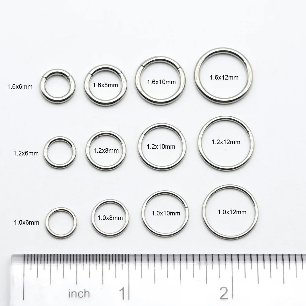 1 PAIR High Polished 316L Surgical Steel Nose Ring Hoop Ear Piercing Jewelry Hinged Clicker Piercing for Septum Labret BCR 18G-00G