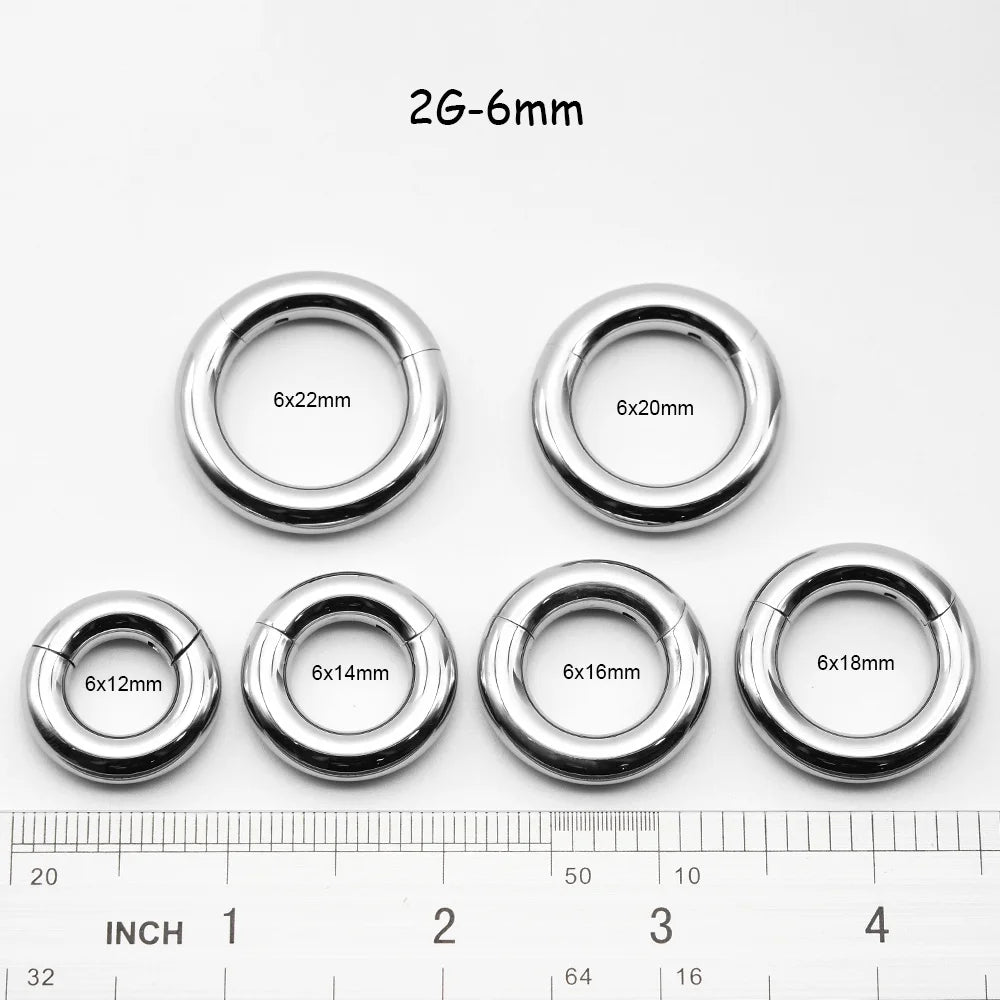 1 PAIR High Polished 316L Surgical Steel Nose Ring Hoop Ear Piercing Jewelry Hinged Clicker Piercing for Septum Labret BCR 18G-00G