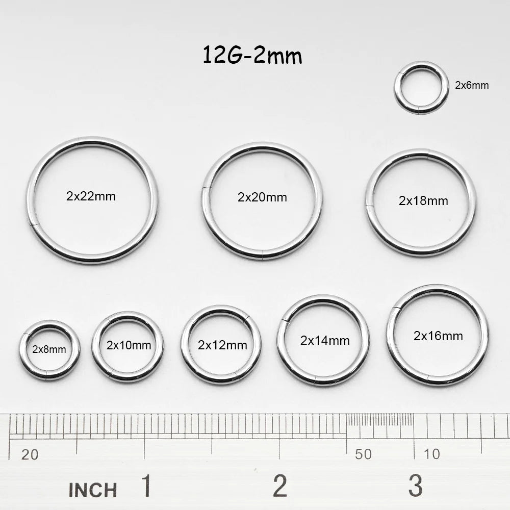 1 PAIR High Polished 316L Surgical Steel Nose Ring Hoop Ear Piercing Jewelry Hinged Clicker Piercing for Septum Labret BCR 18G-00G